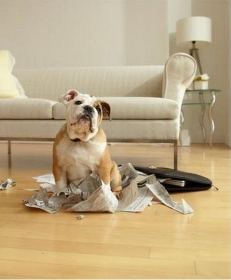 Д[O(sh)(yng)ԓMһЩFءƷ