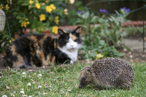 Ӣ(gu)⬳Գֶգ(qing)Ɯpʘȷ