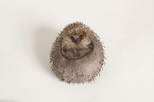 Ӣ(gu)⬳Գֶգ(qing)Ɯpʘȷ