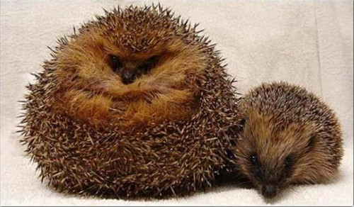 Ӣ(gu)⬳Գֶգ(qing)Ɯpʘȷ